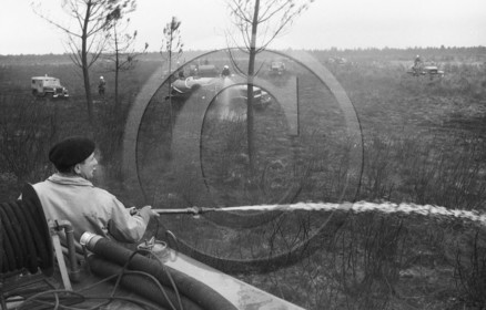 Pompiers du bassin d'Arcachon