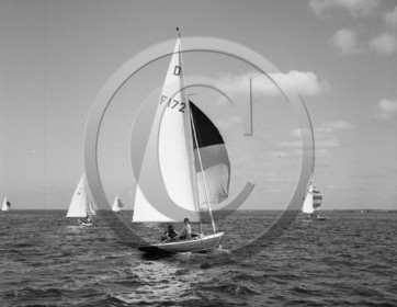 arc 2305 régate de dragons  .jpg