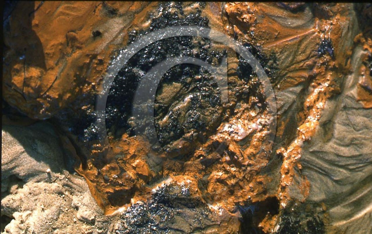 -6 photo abstraite pieds des dunes hiver 1957-58 photo Enri Dargence.jpg