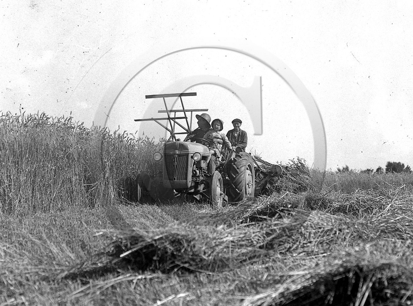 AG 738 tracteur les foins Plaque 13x18 .jpg