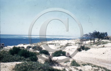 arc 1915 blockhaus dune du Pyla  .jpg