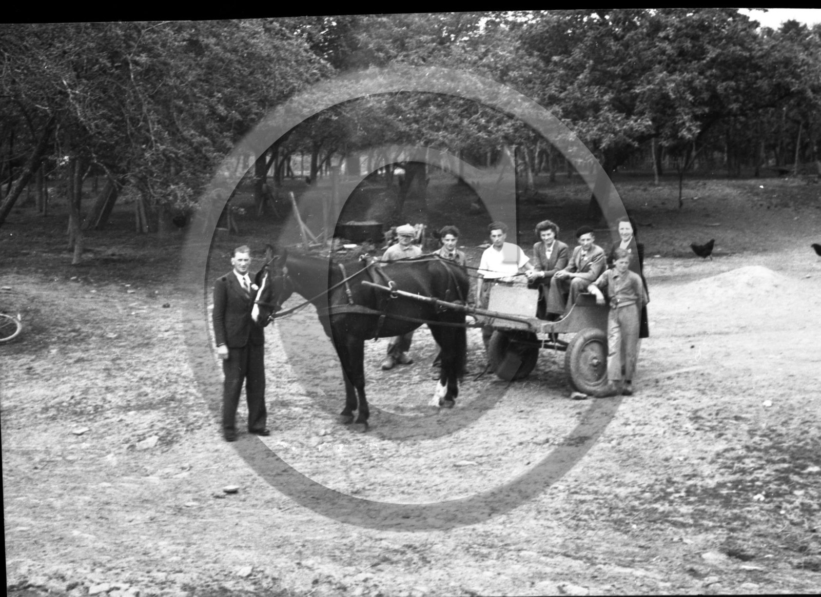 AG 550 carriole attelee et famille .jpg