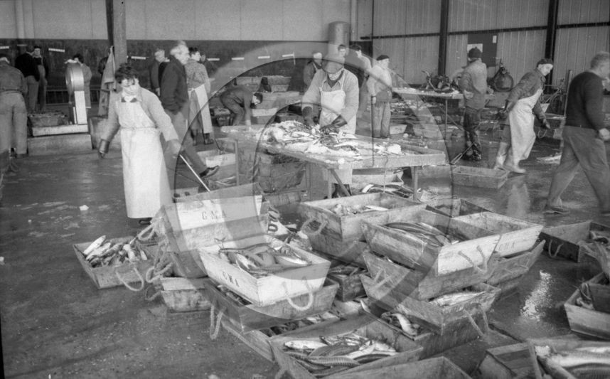 Arcachon 1 Mars 66 la criee.jpg