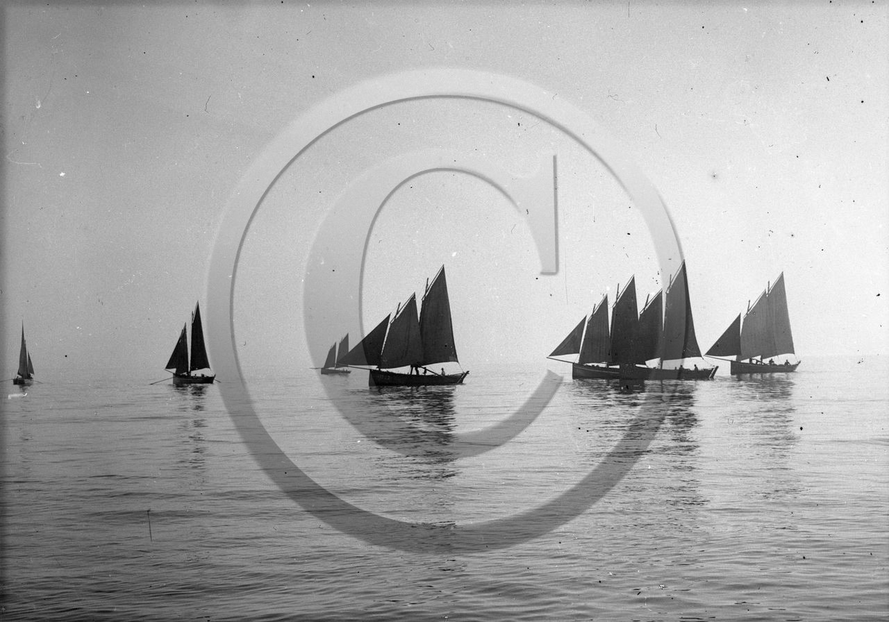 BA 662 douarnenez  dpt 29 .jpg