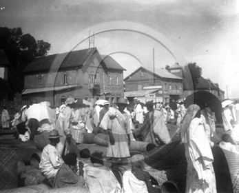 Madagascar sur le marche .jpg