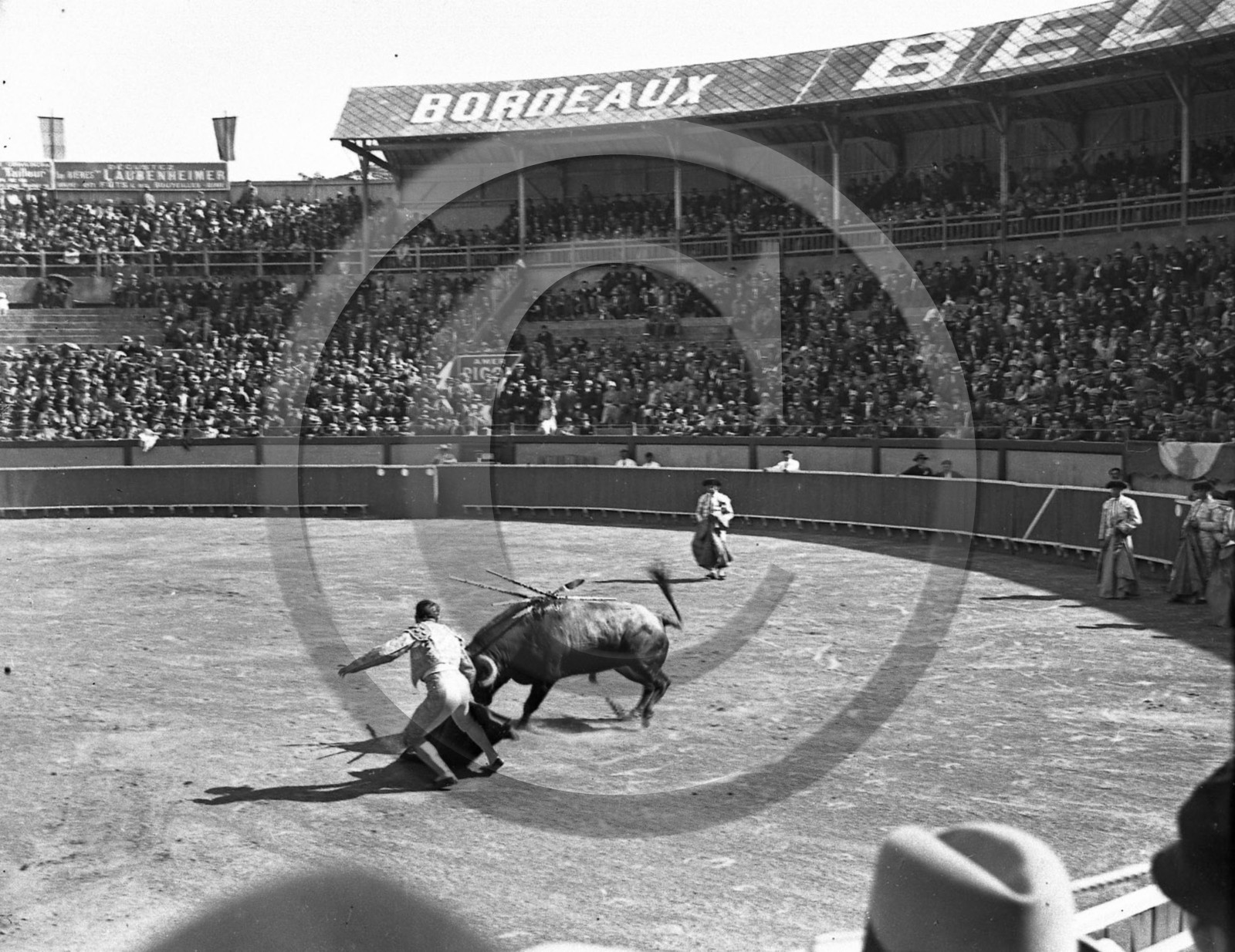 BX 8  Bordeaux les arenes du Bouscat .jpg