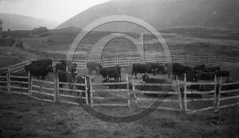 AG 691 serie Aurillac Salers  photo Mirc .jpg