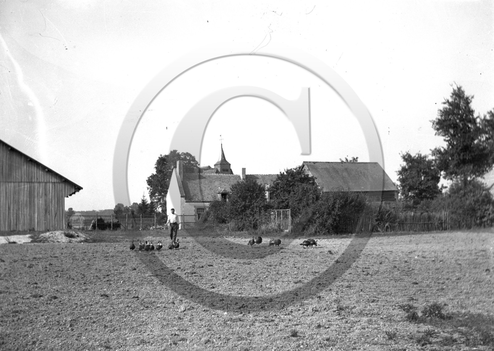 AG 577 fermier canard dindon au fond église .jpg