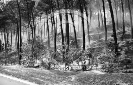 Pompiers du bassin d'Arcachon