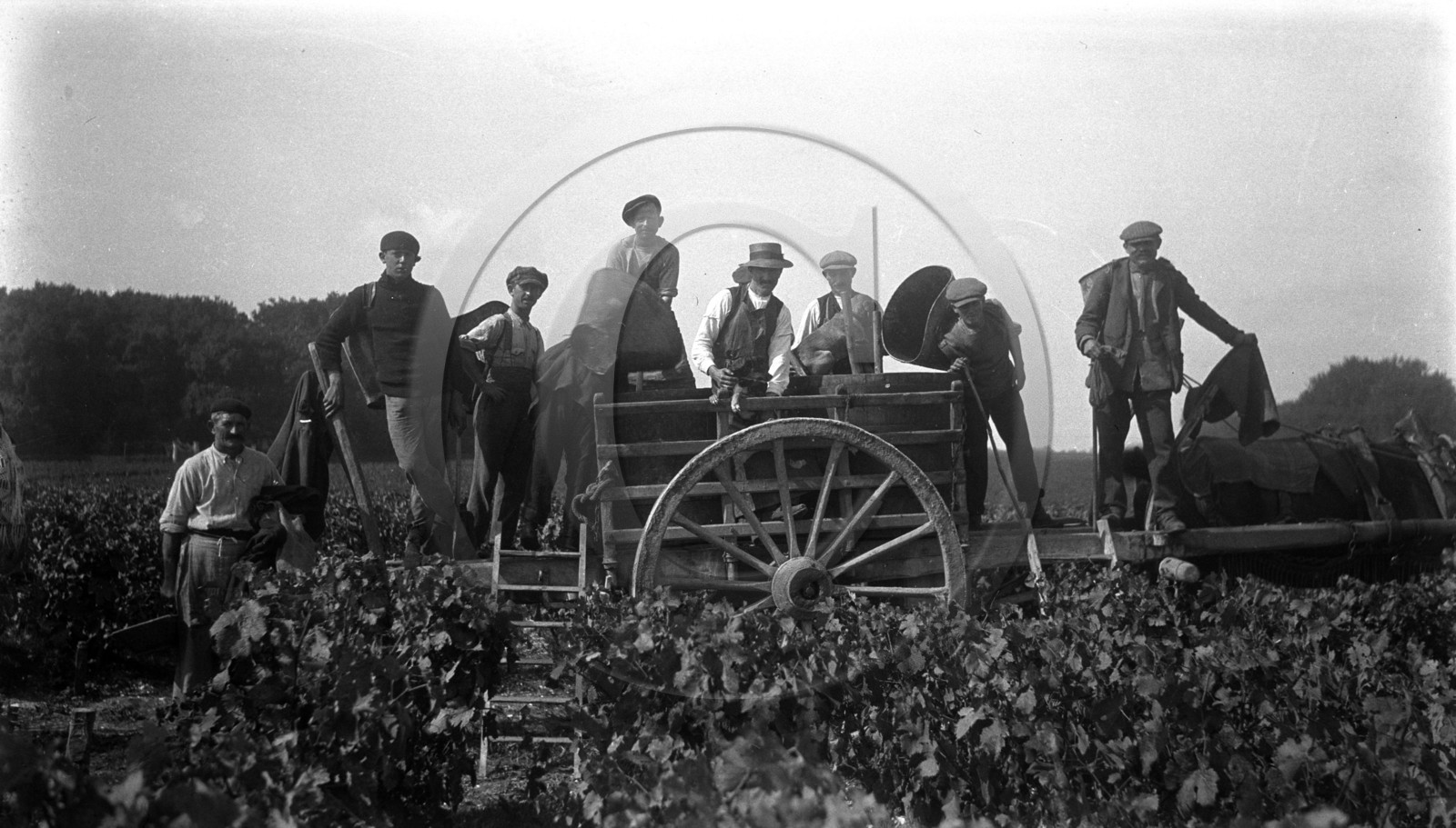 AG 239 chateau Latour 1924  .jpg