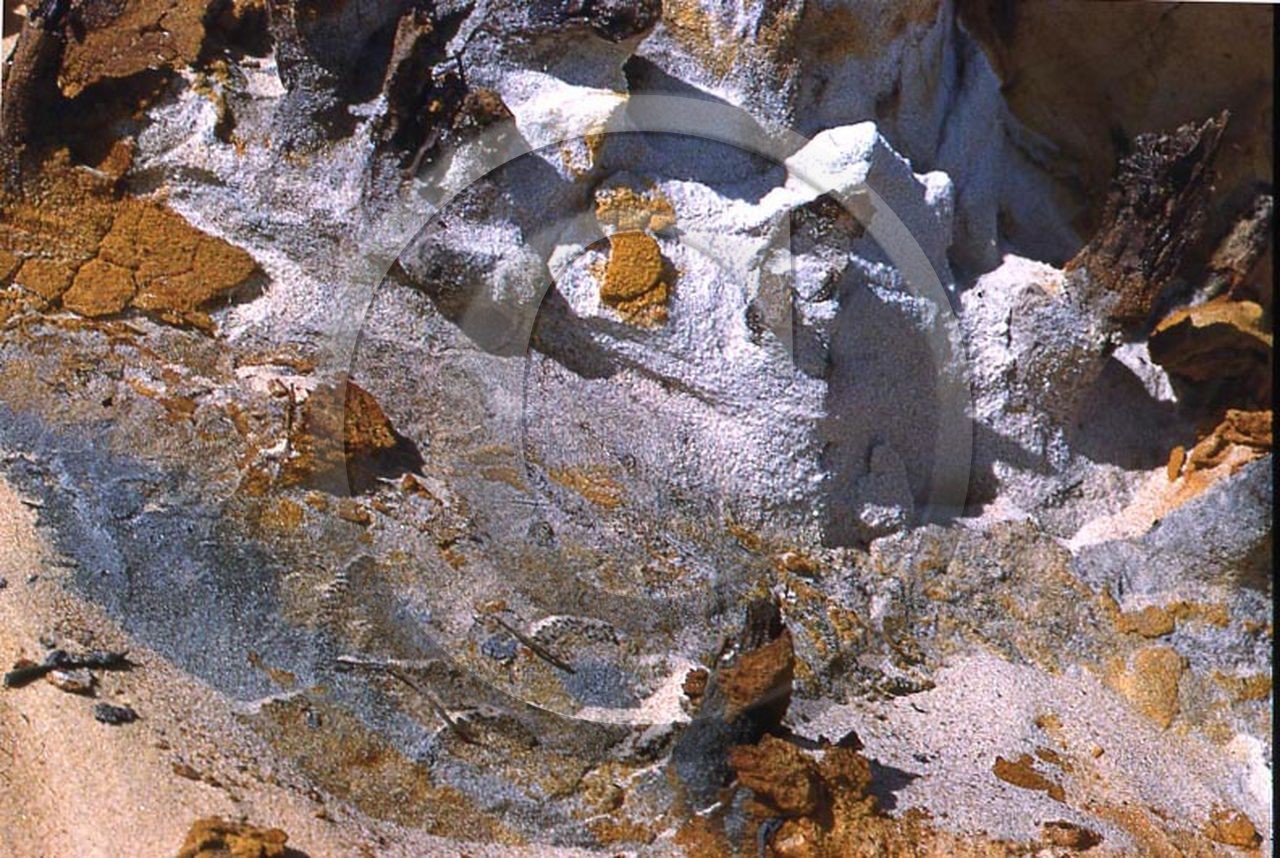 -20 photo abstraite pieds des dunes hiver   1957-58 photo Enri Dargence.jpg