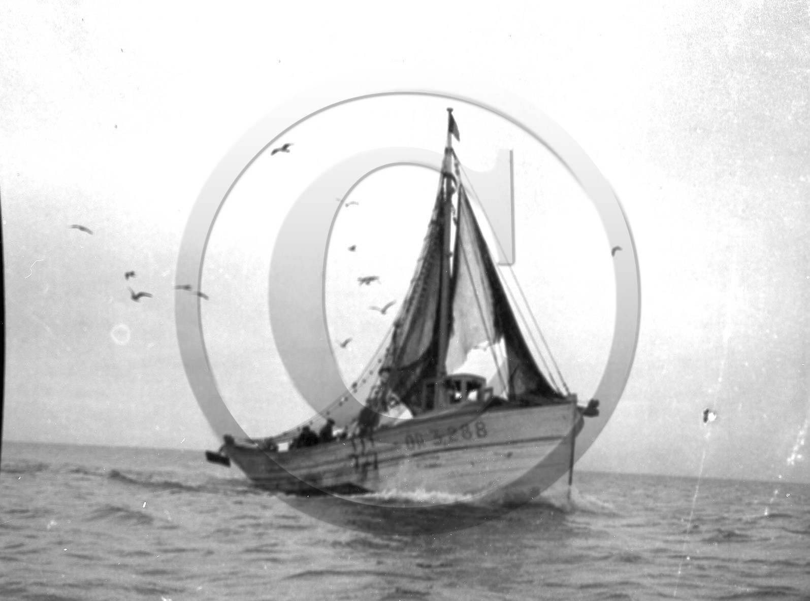 gabarre;Finistère;chalutier;pinasse sardinière;Coureau;dundee;sloop mareyeur;