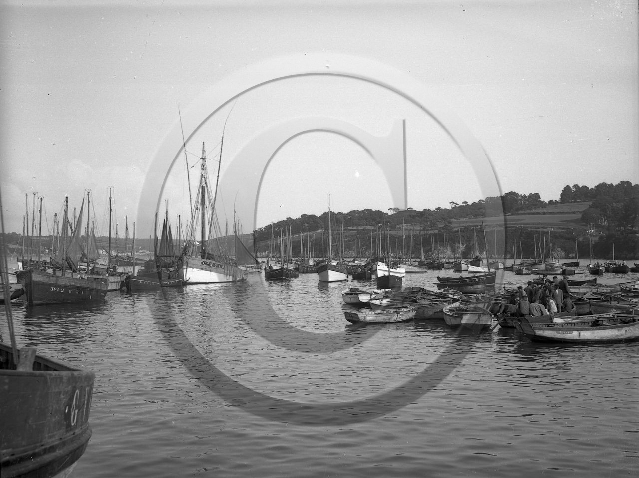 vi   1009 Douarnenez dpt 29.jpg