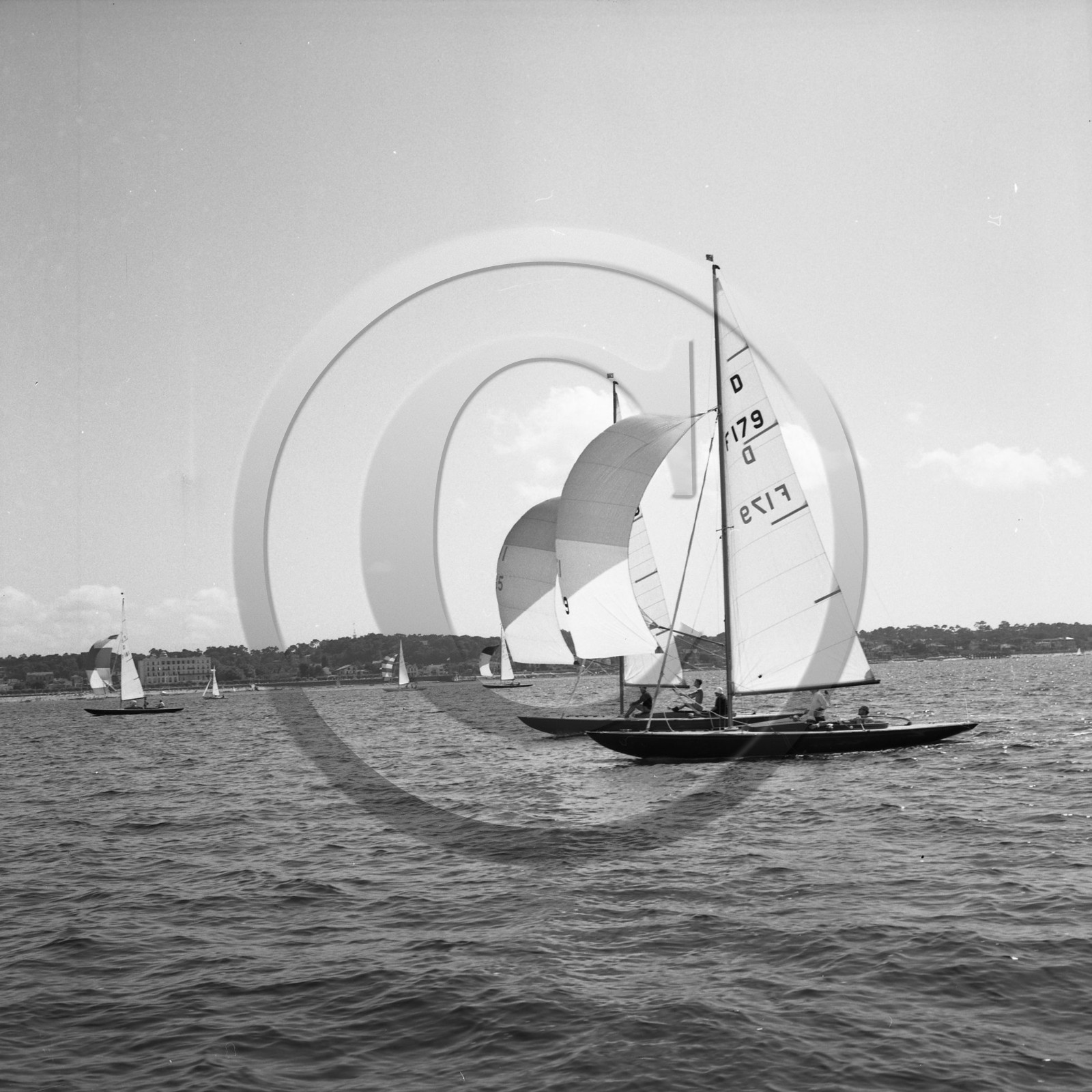 arc 2303 régate de dragons  .jpg