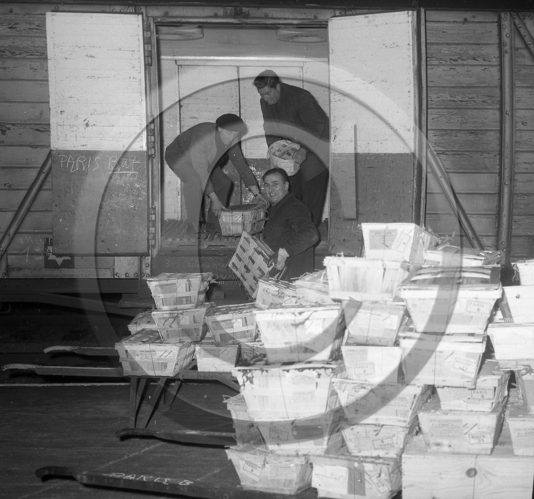 ARC 3639 expédition d'huitres 22 décembre 1966.jpg