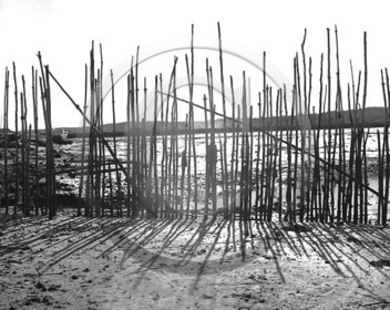 arc 1093 contre jour dans les parcs a huitres.jpg