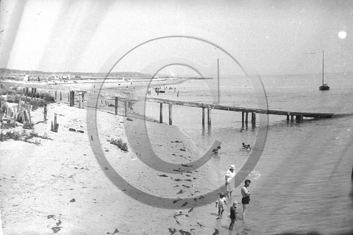 arc 4222  cap ferret.jpg