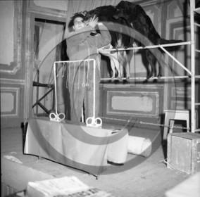 FO-CIRQUE  79  chiens savants  .jpg