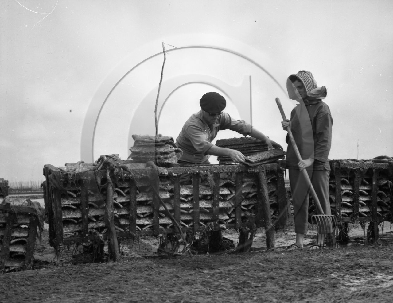 arc 2849 parc huitres .jpg