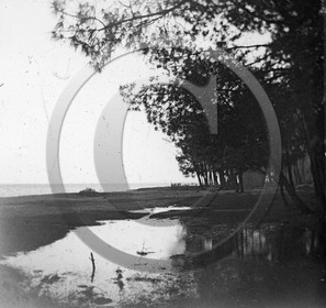 arc 4615 Cazaux .jpg