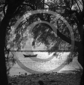 BA 425 etang de thau.jpg