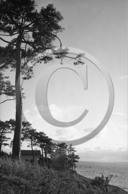 arc 4437 Abatilles .jpg