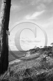 arc 4435 Abatilles .jpg