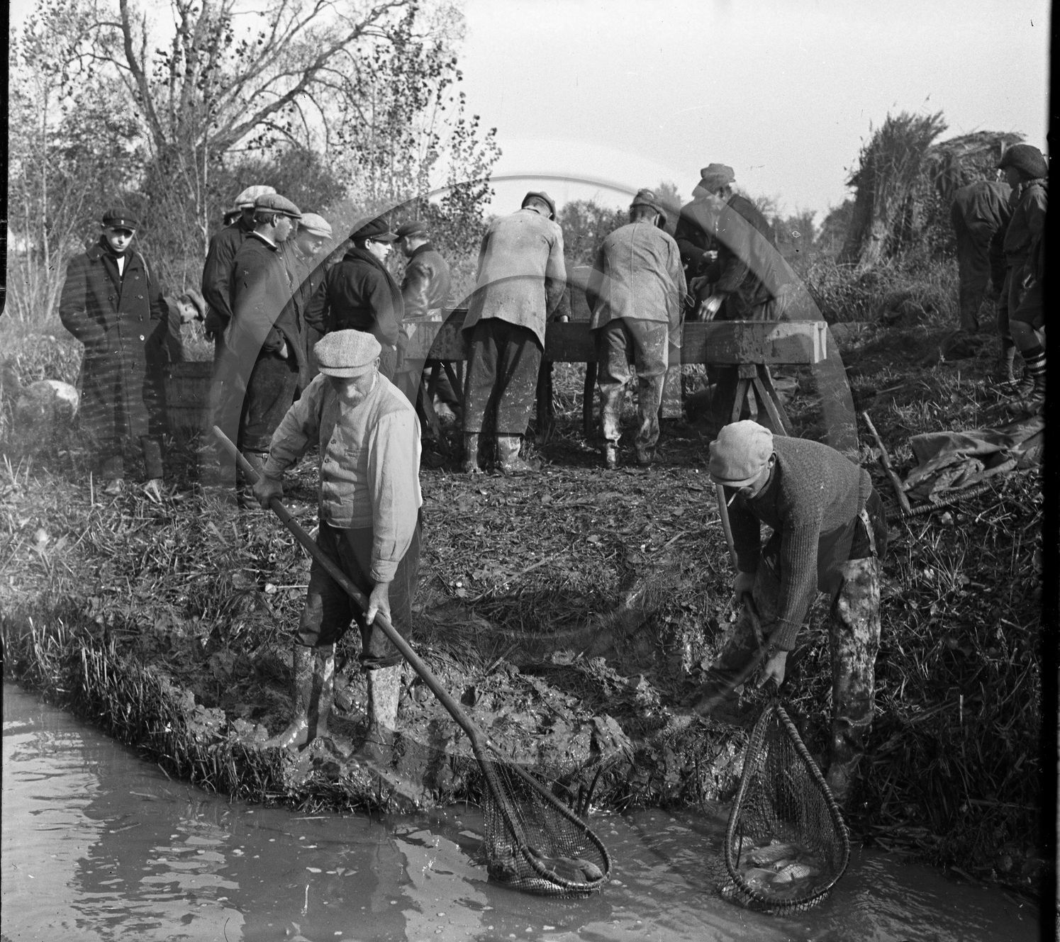 SL 313 peche epuisette série de 7 négatifs  .jpg