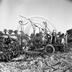 AG 542  sulfatage des vignes .jpg