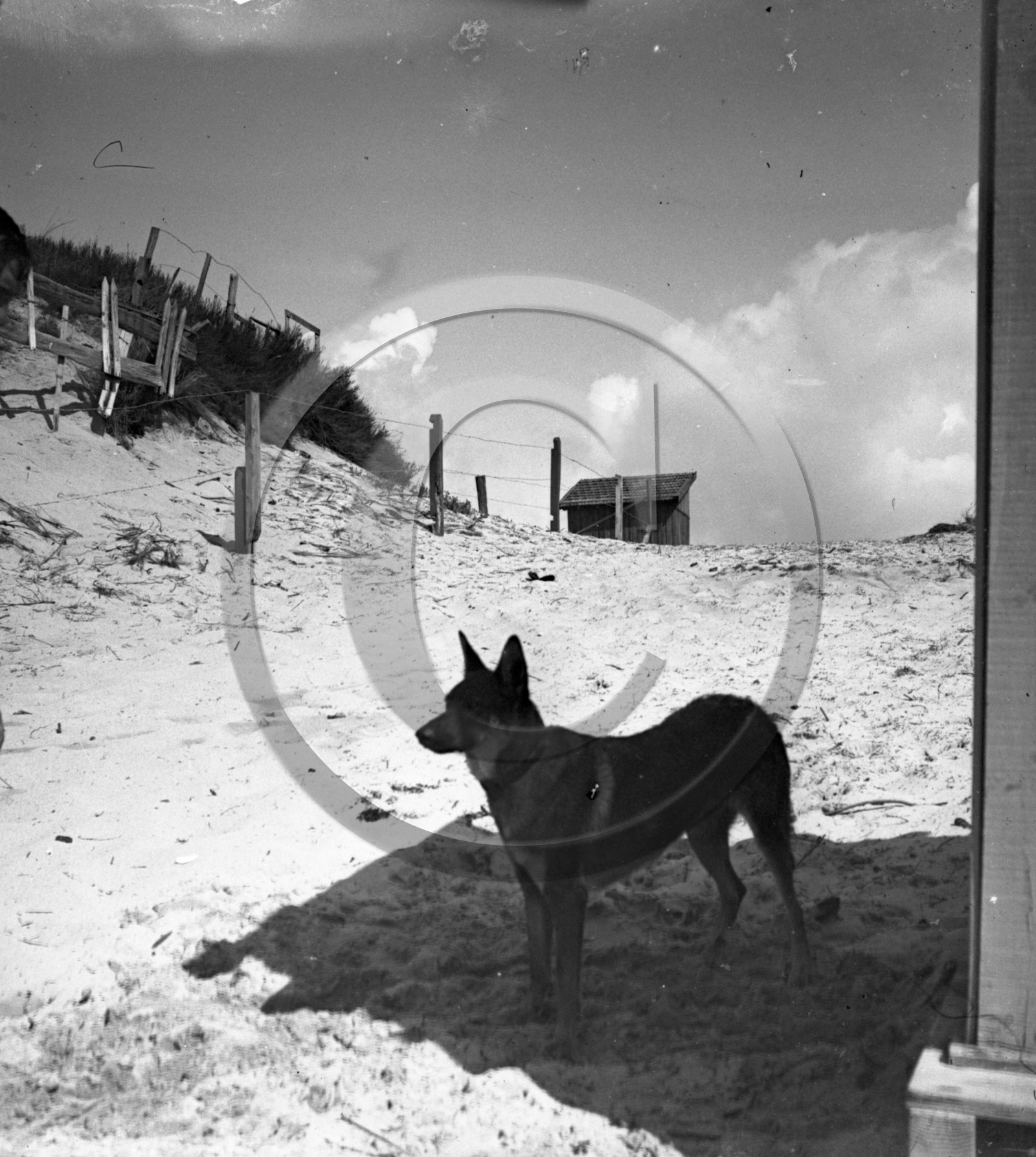 vi  1745 Montalivet en 1931 dpt 33 .jpg