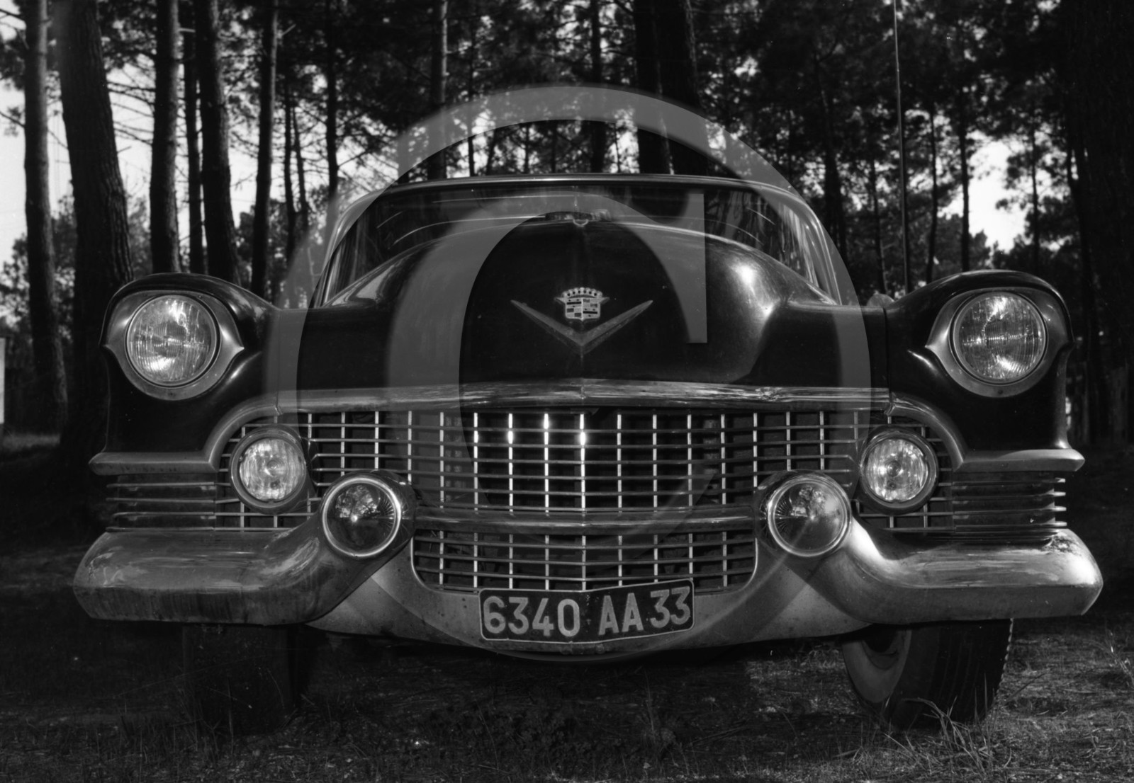 AU 366 Cadillac coupe de ville 1954 .jpg