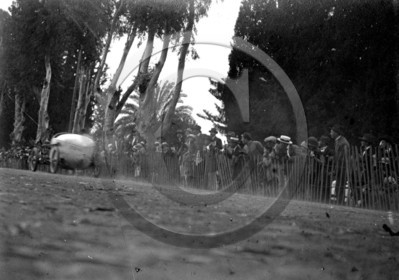 AUC 236 l'Arba 17 mai 1925 Sifried à 92 Kmh jpg.jpg