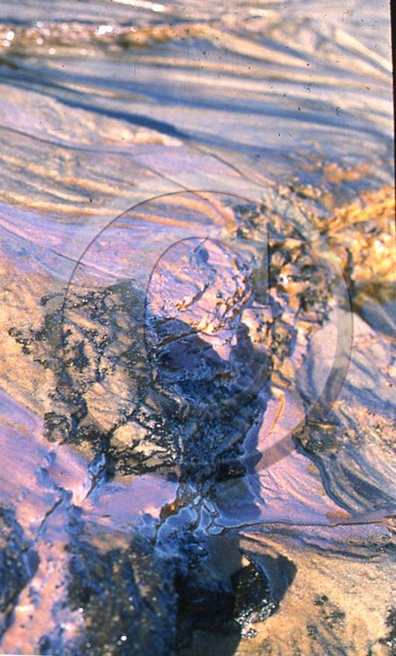 -38 photo abstraite pieds des dunes hiver   1957-58  photo Enri Dargence.jpg