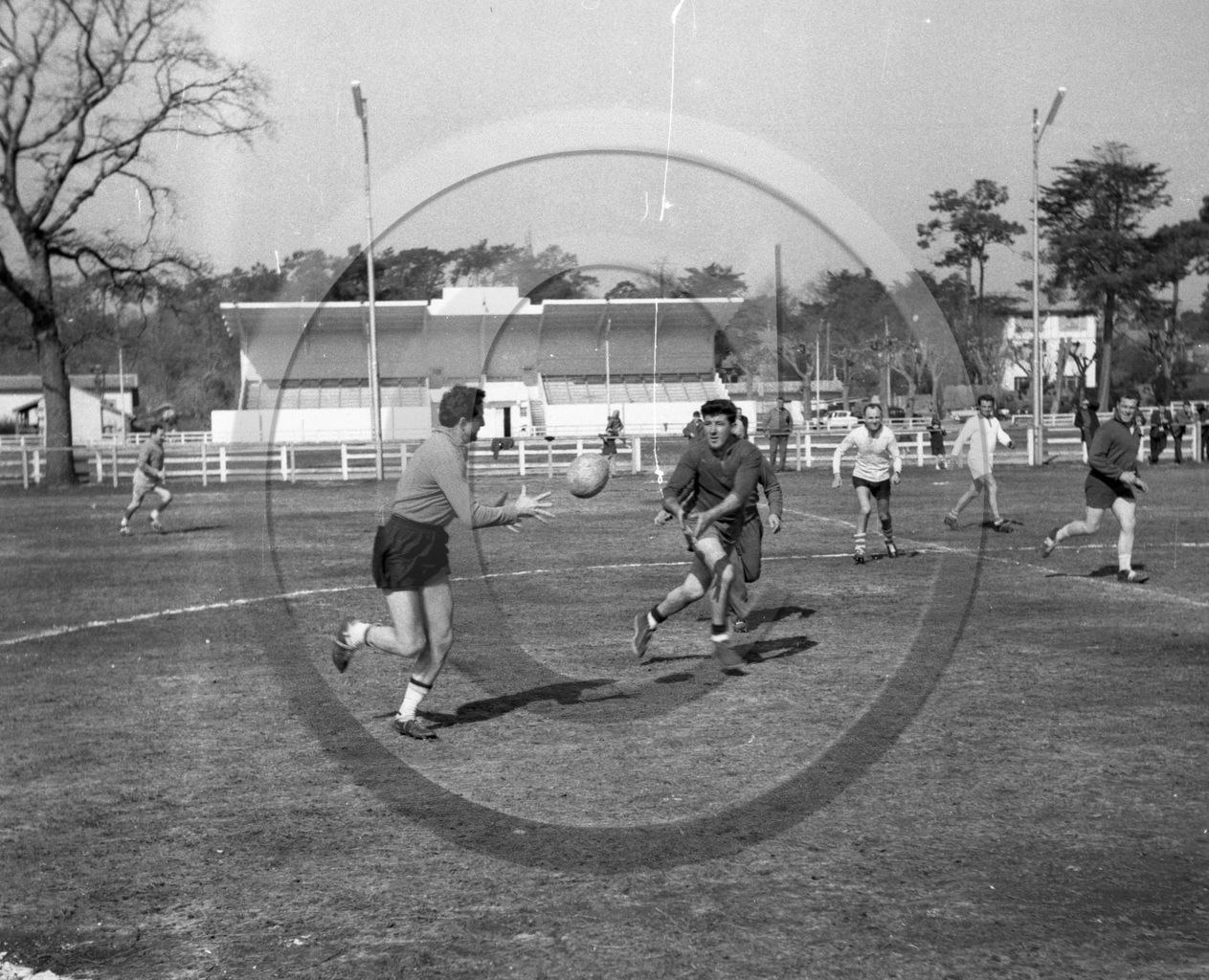 237 entrainement rugby 24 mars 63 - 1-.jpg