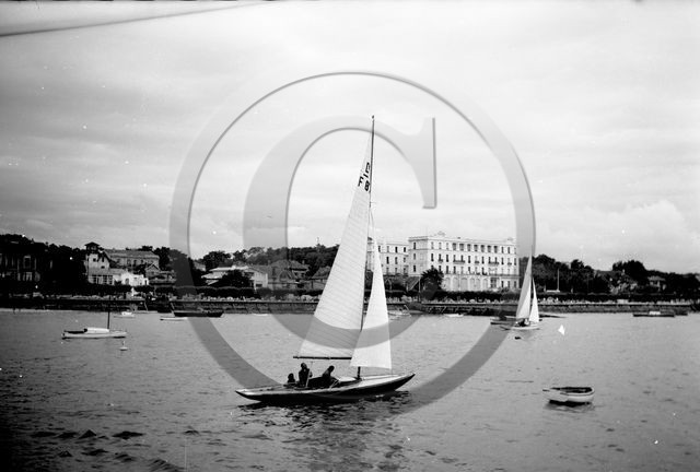 arc 4436 dragon 87  .jpg