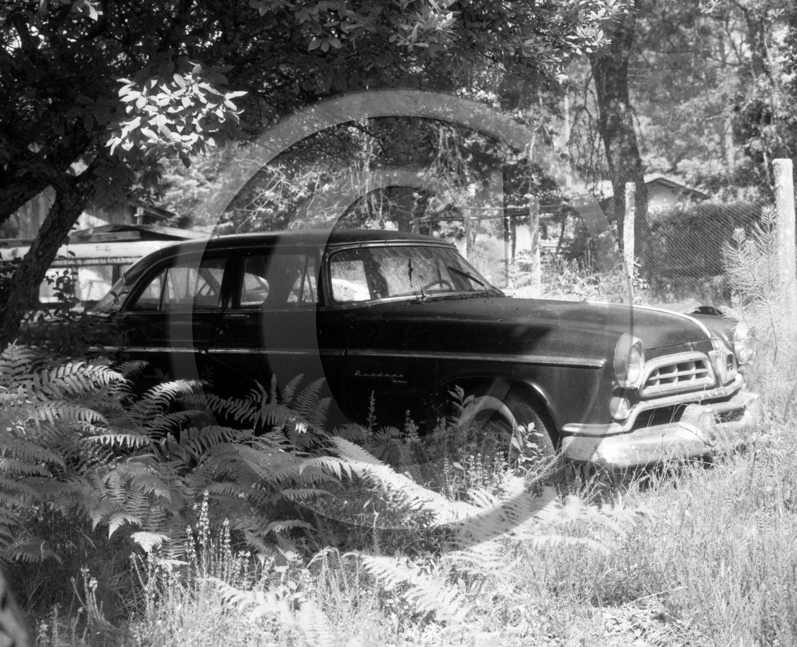 AU 443 Chrysler newyorker sedan 1955 .jpg