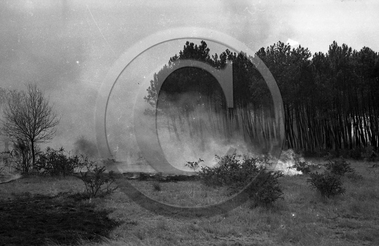 Pompiers du bassin d'Arcachon