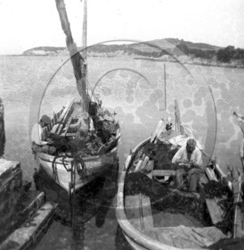 BA 510 environ de Toulon  dpt 83 .jpg