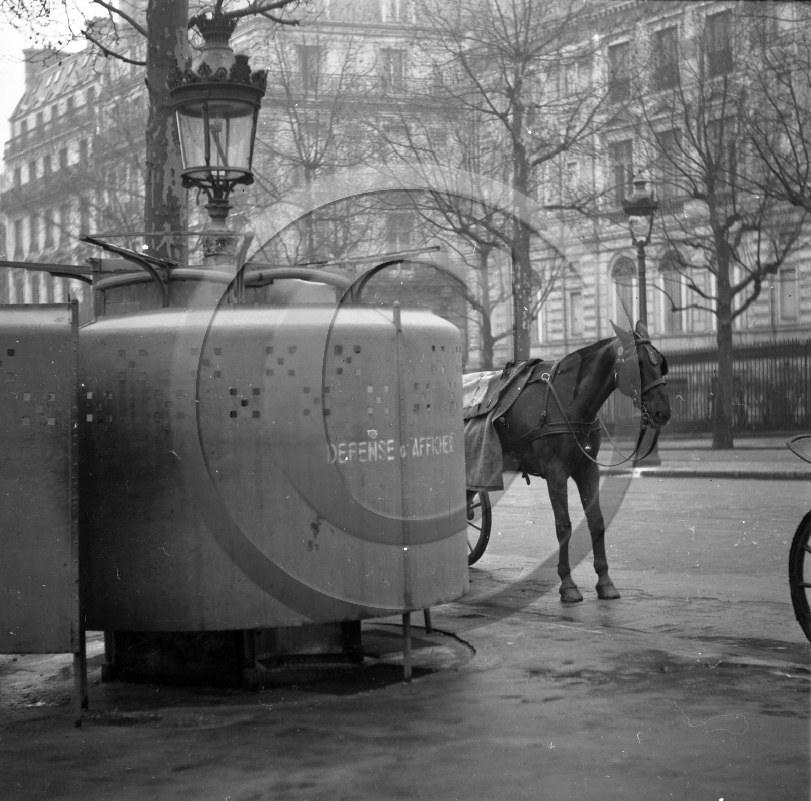 M 8-9     Dargence.jpg