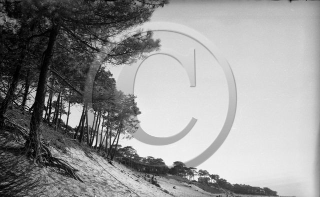 arc 4413 abatilles .jpg