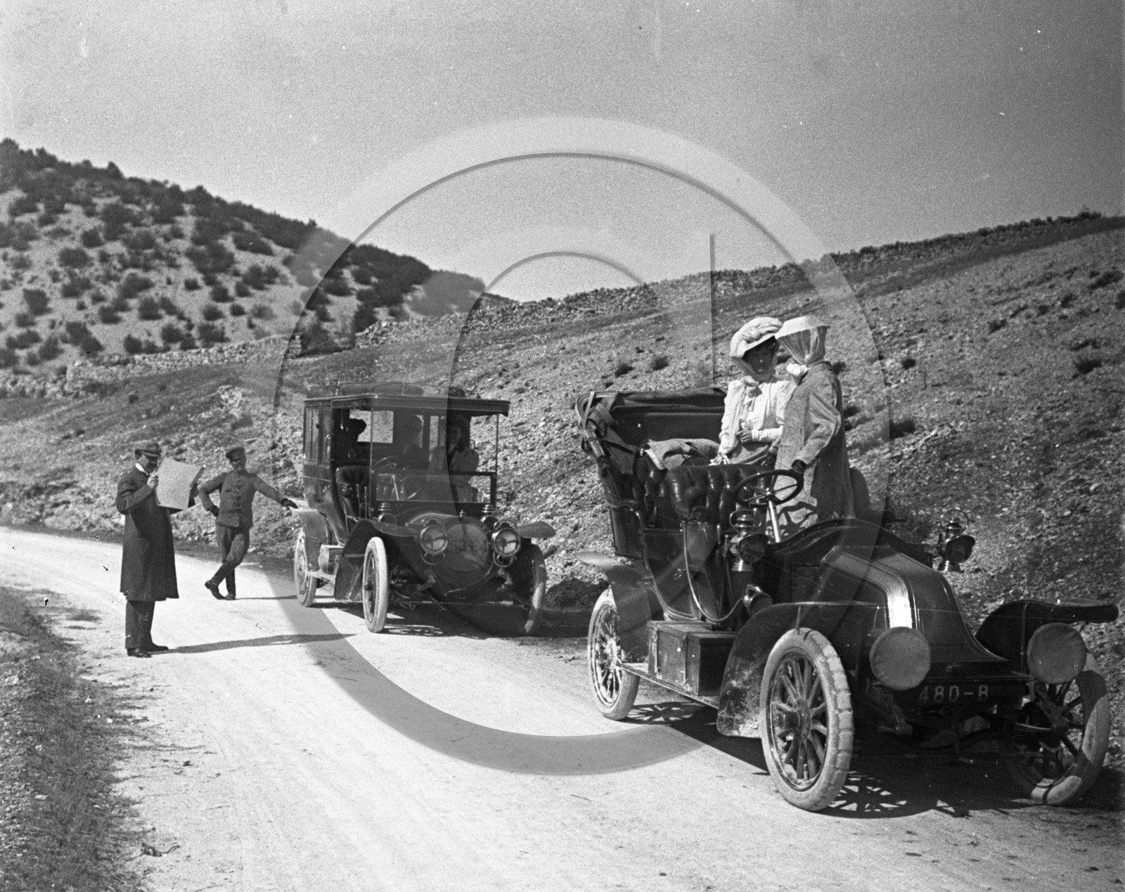 AU 4309 ancetre .jpg