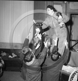 FO-CIRQUE  77  chiens savants  .jpg