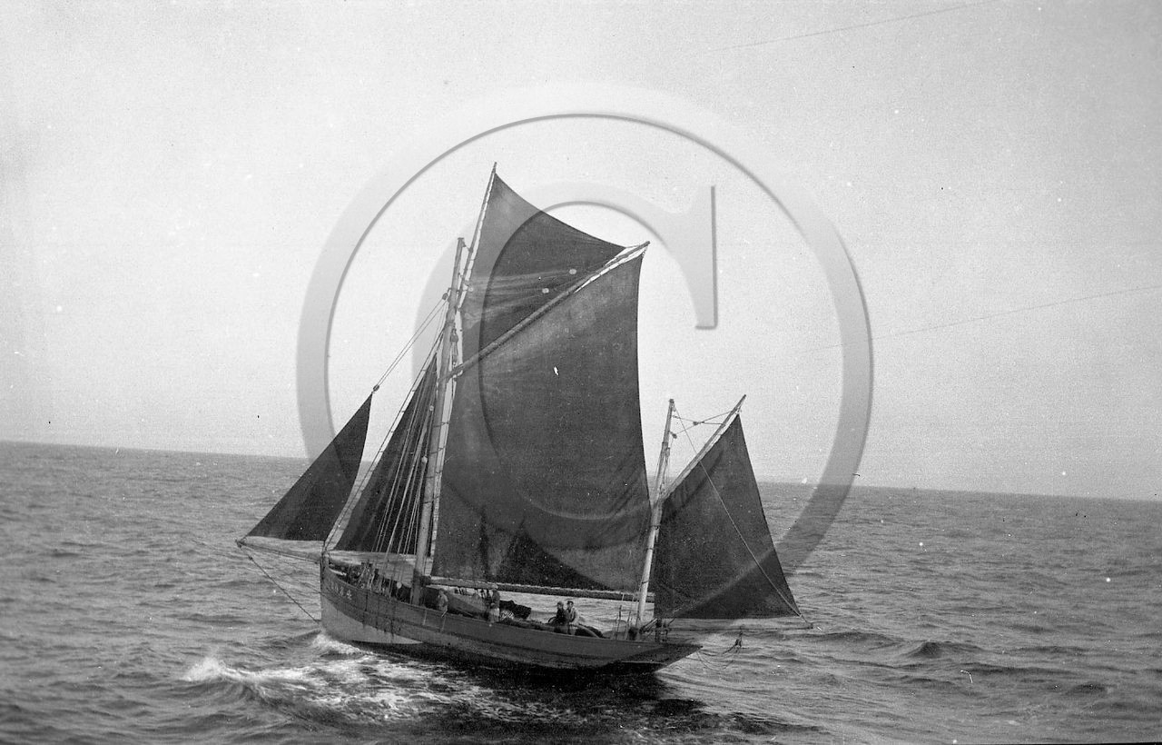 BA 1575  dundee caseyeur de Camaret Cm 2084 dpt 29.jpg