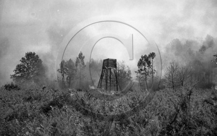 Pompiers du bassin d'Arcachon