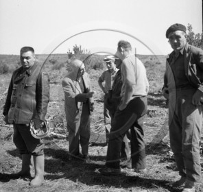 Pompiers du bassin d'Arcachon