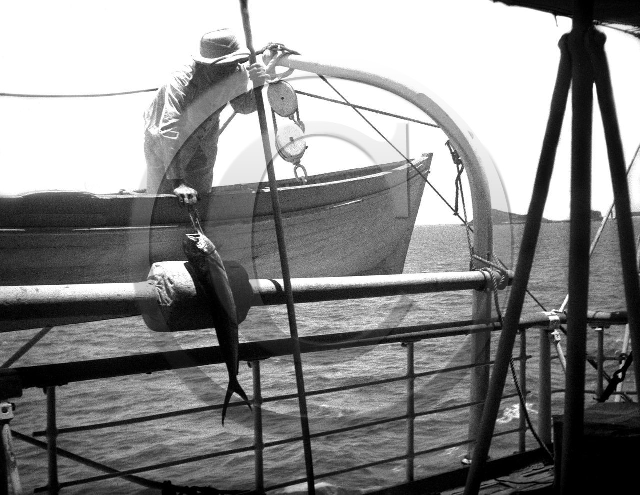 BA 956 peche a bord paquebot  .jpg