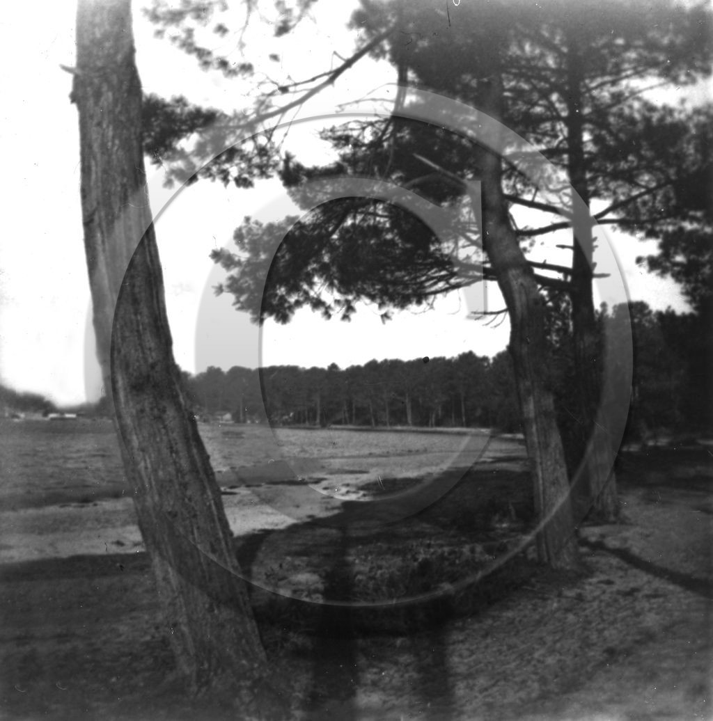 arc 4613 Cazaux .jpg