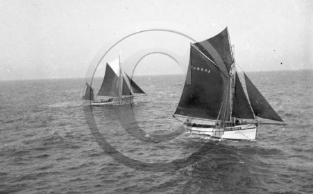 BA 1576 sloop caseyeur de Camaret  Cm 2301 dpt 29 .jpg