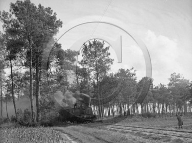 arc 1631 train des landes .jpg