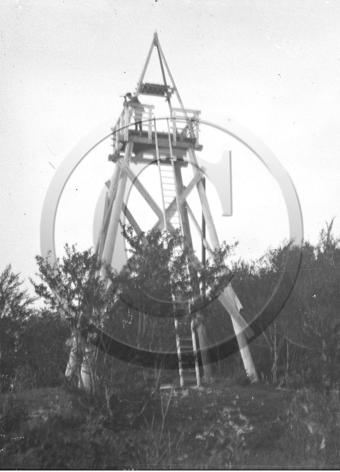 sl 201 pymone de chasse.jpg